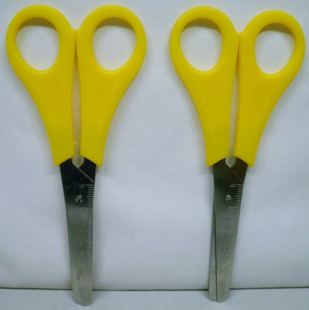 2 Stainless Steel 2.5” Blade Scissors