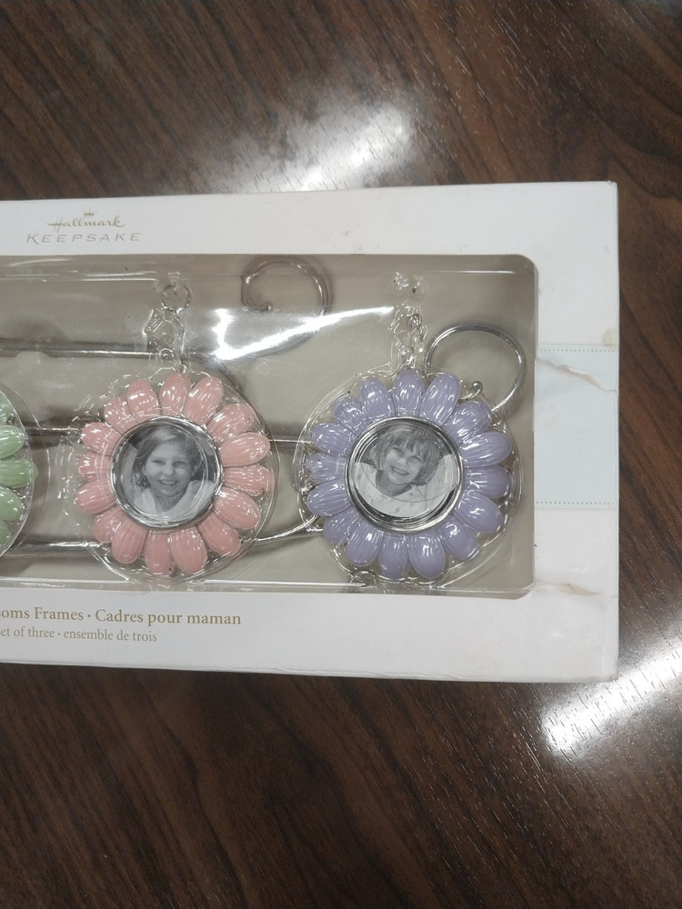 Hallmark Keepsake Spring Blossom Picture Frames