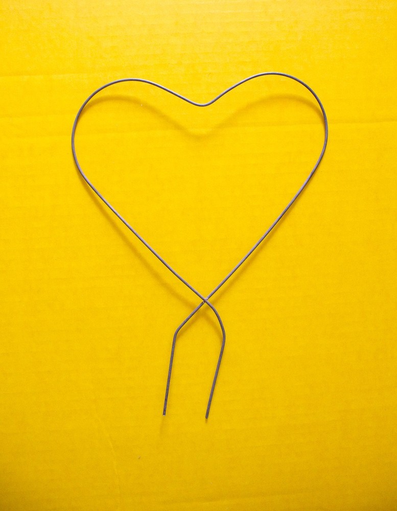 Heart Shaped Topiary Form for Vine Training