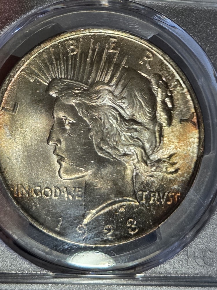 1924 $1 Peace Dollar PCGS MS64 Toned