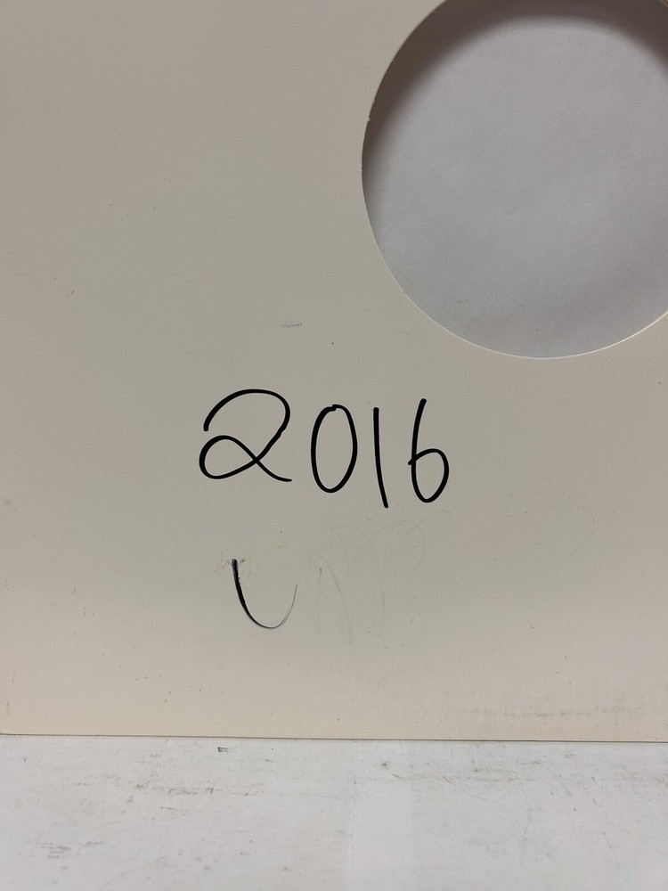 Juvenile SIGNED BLANK RECORD SLEEVE 2016, NO RECORD INCLUDED