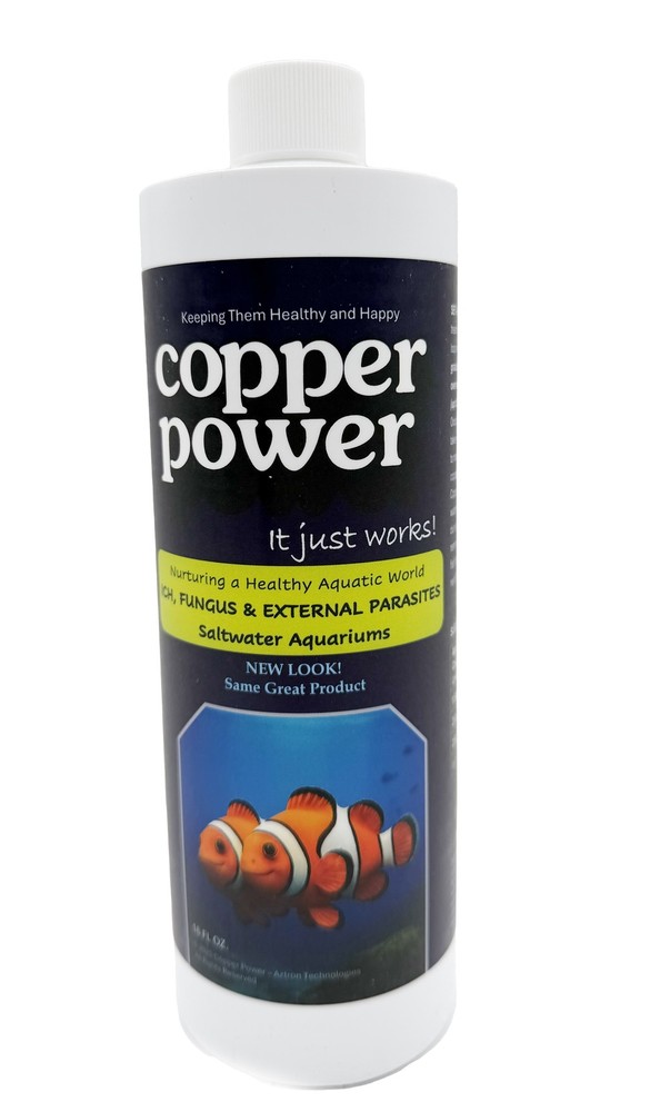 Copper Power Blue 16 oz