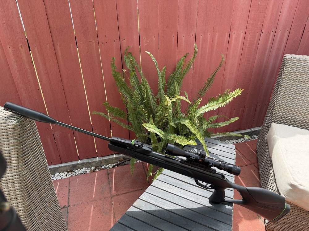 Air Rifle with Scope