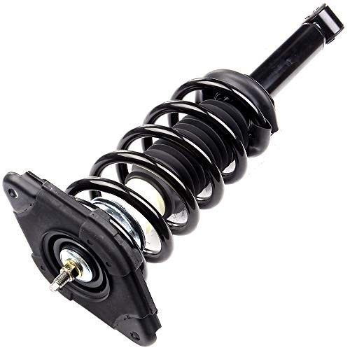 Rear Struts Strut Spring Assembly Shock Absorber for Nissan Sentra 2000 2001