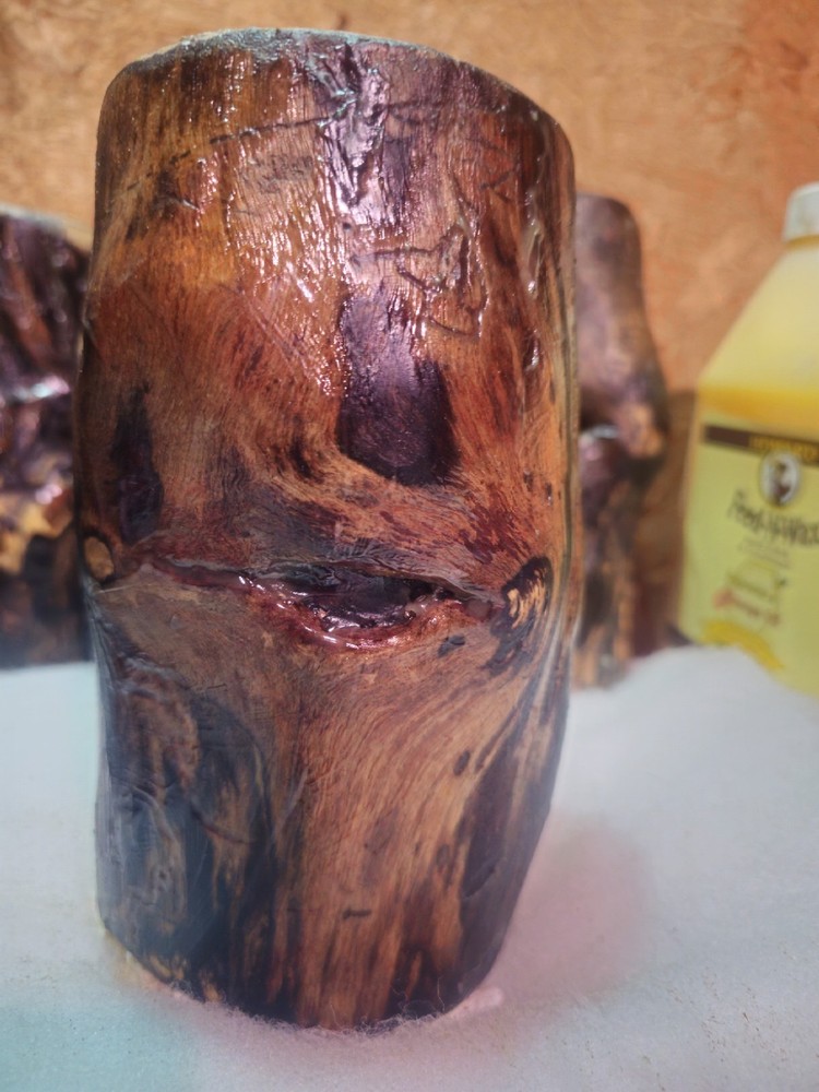 White Ash Trunk Eye Scars
