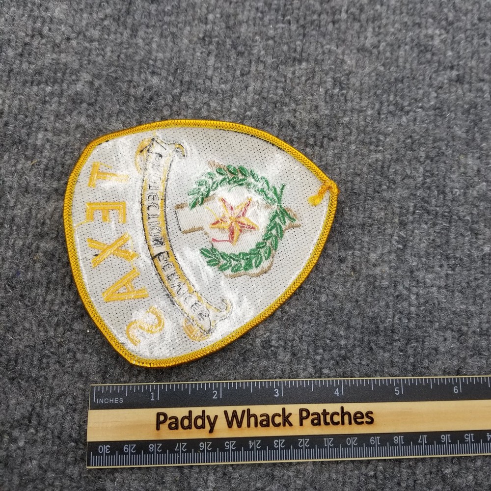 Texas Protection Services Patch