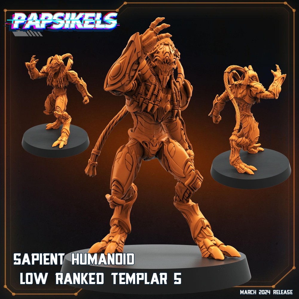 Sapient Humanoid Low Ranked Templar - 05