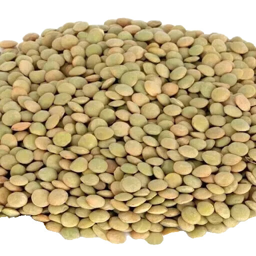 Bulk Dried Lentils Bagged 10 lbs Pounds