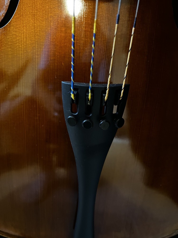 Strobel MC-500 Cello New