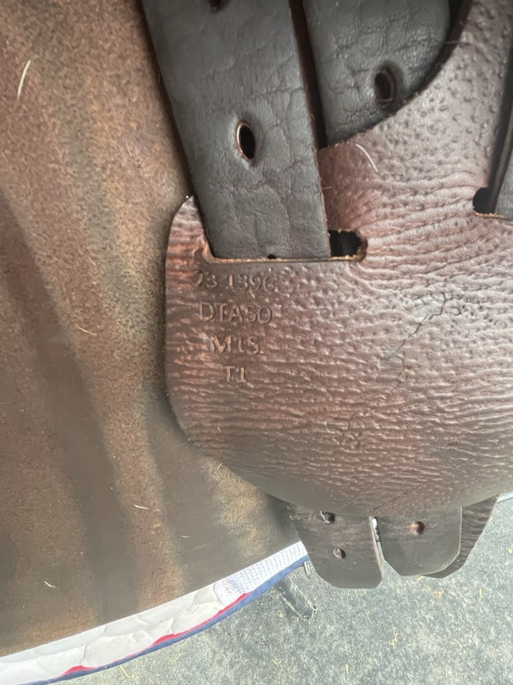 2023 Antares Evolution 16.5 Saddle