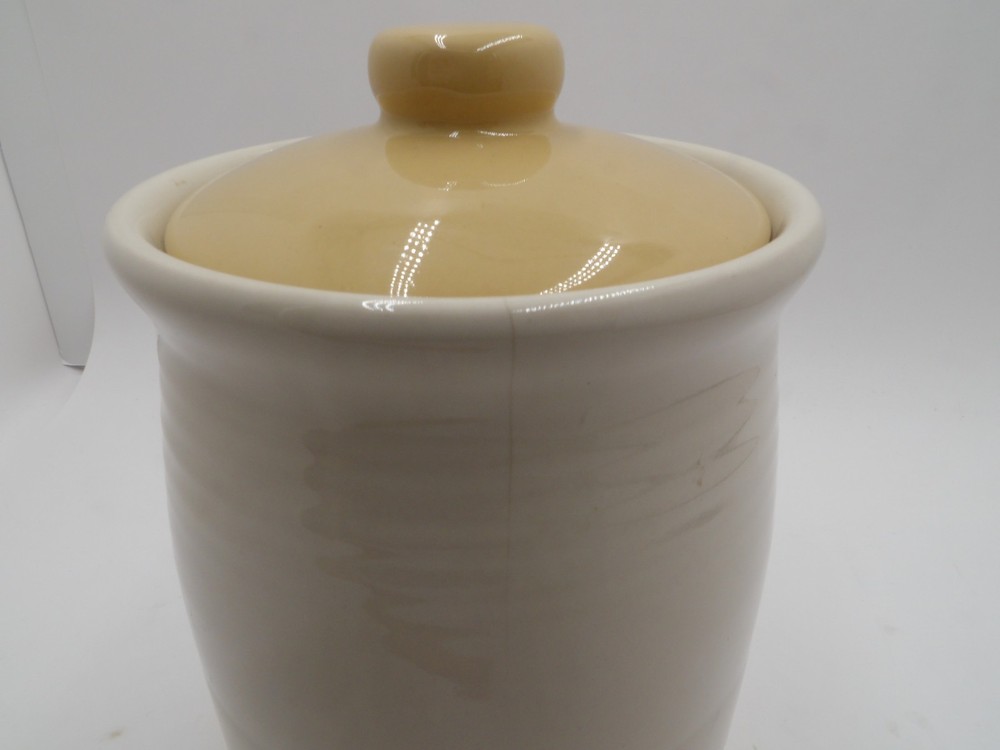 Dragonfly Design Ceramic kitchen Canister Jar