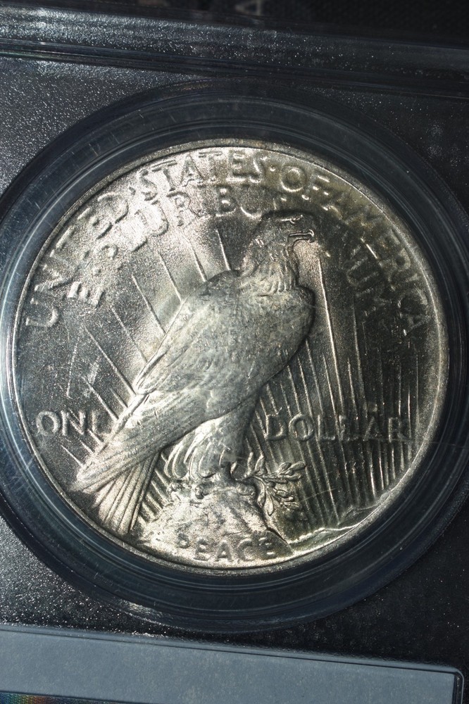 1924 Peace $1 PCGS MS64