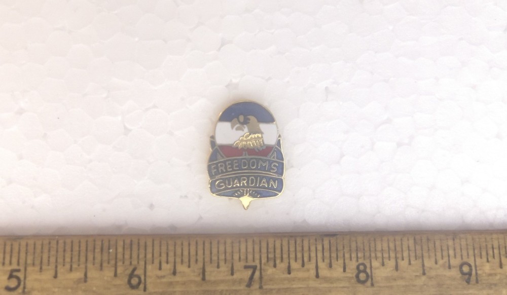 Freedoms Guardian Pin