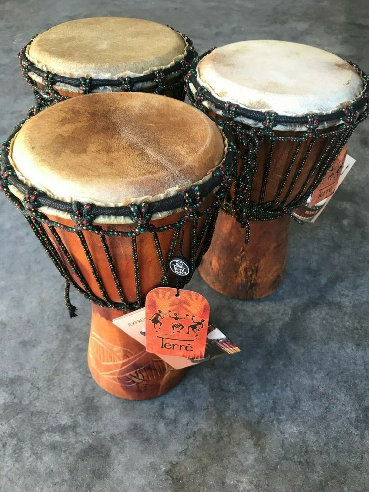 Djembe Beginner Plain,12" tall, 6.5-7" head