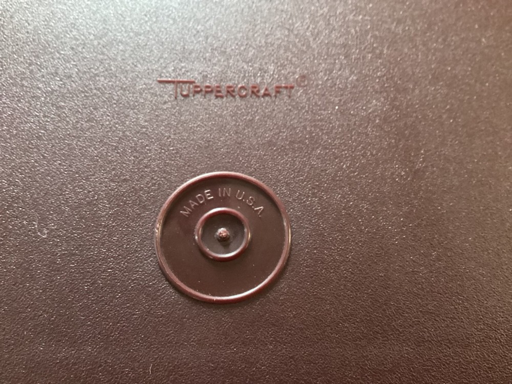 Tupperware Personal Travel Case #1624-2