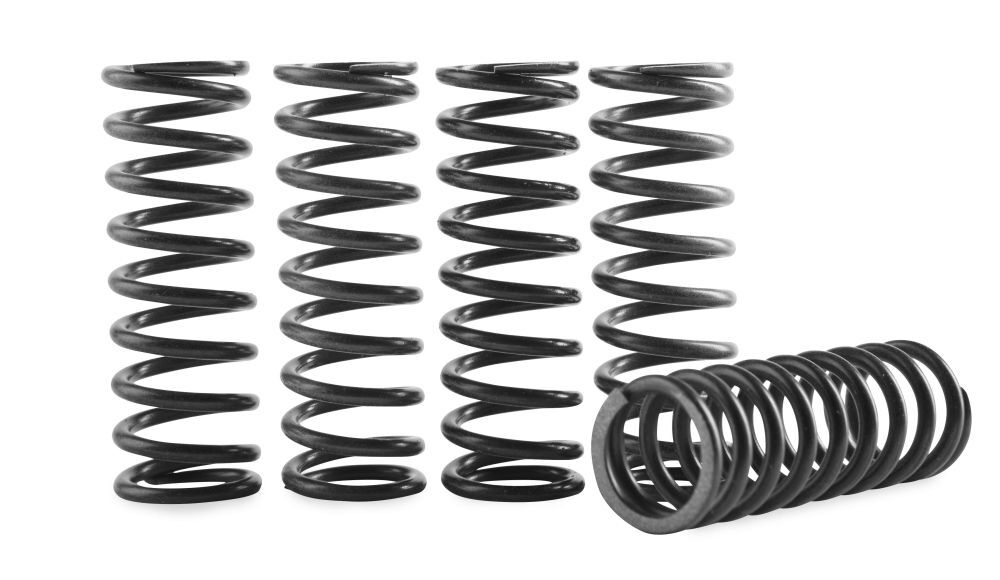 Hinson Clutch Spring Kit High Temp - CS264-5-0409