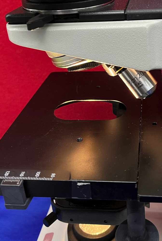 LEITZ LABORLUX K BINOCULAR MICROSCOPE 02043.036 W