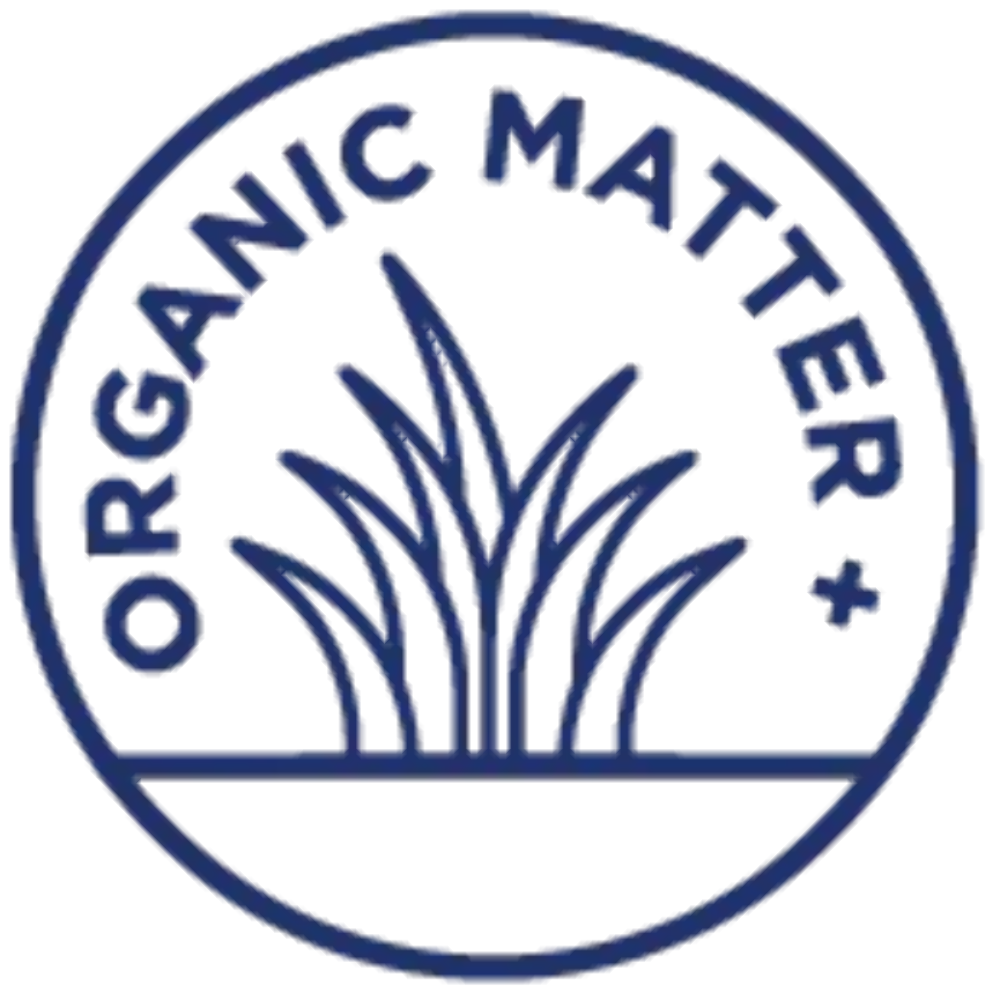 Groundhog Radish, Cover Crop Seeds