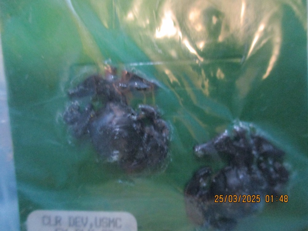 Military Uniform Insignia