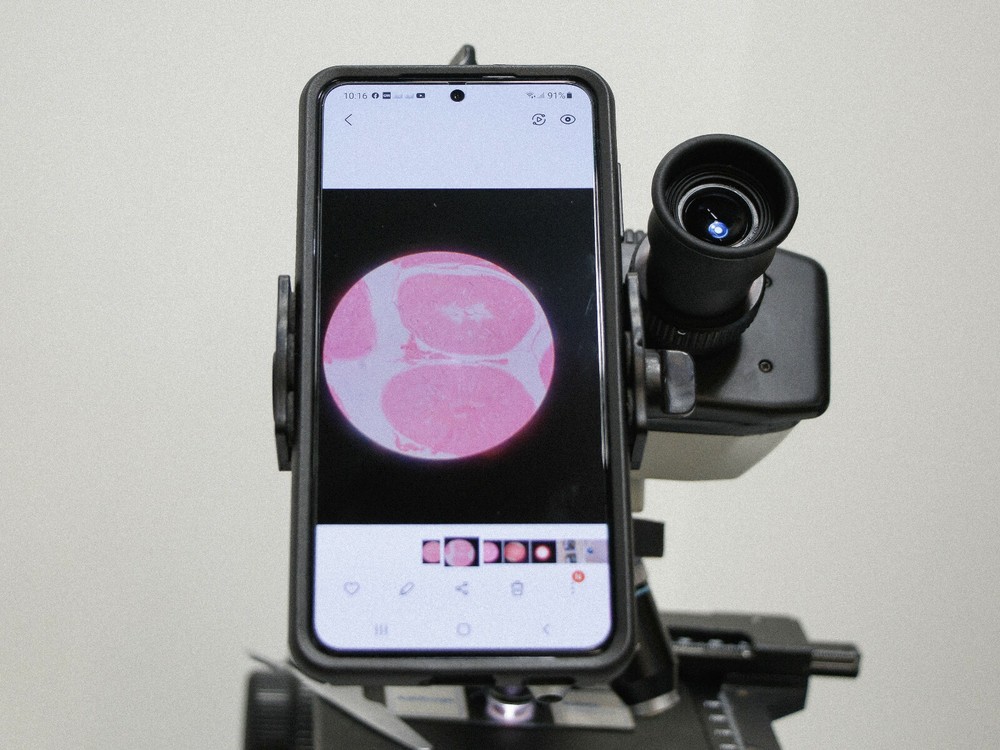 Sturdy Microscope Eyepiece Camera Adapter for Smartphone & iPhone