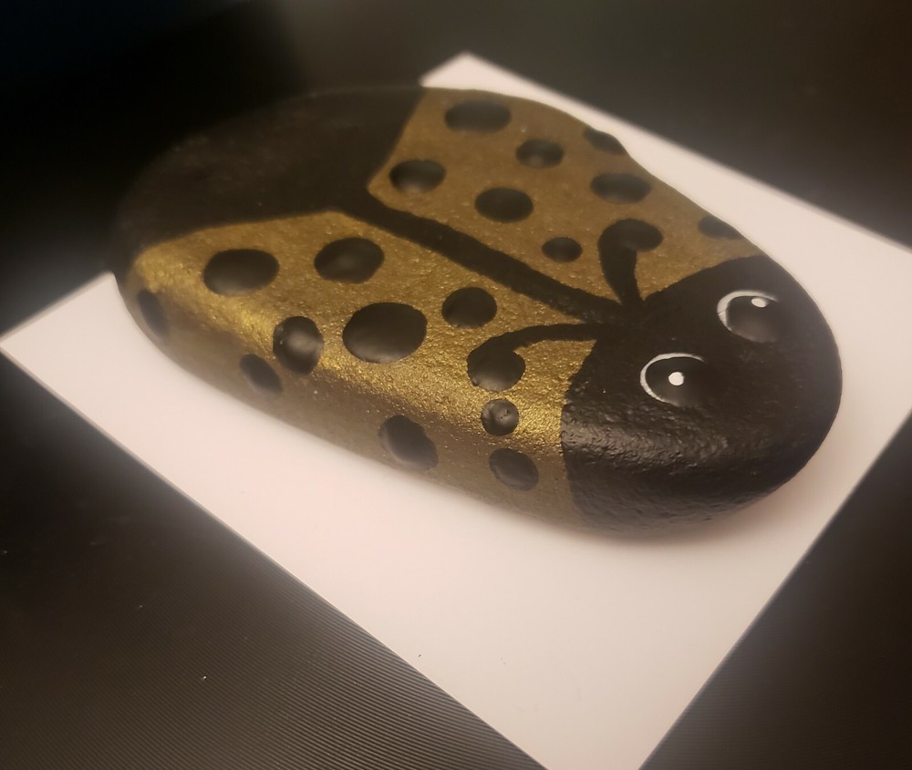 Ladybug painted mandala rock art