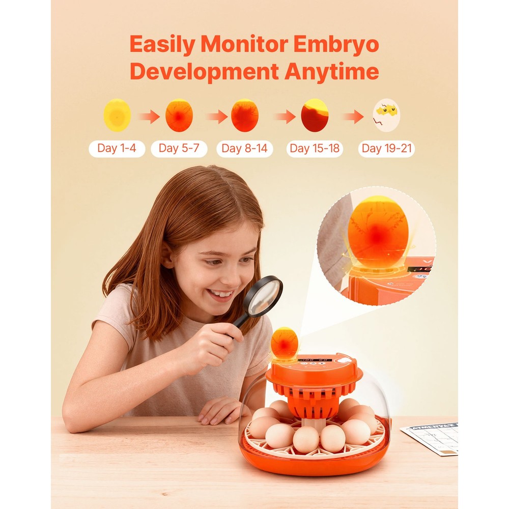 Uimoso 12 Egg Incubator with Automatic Turning and Temperature Control