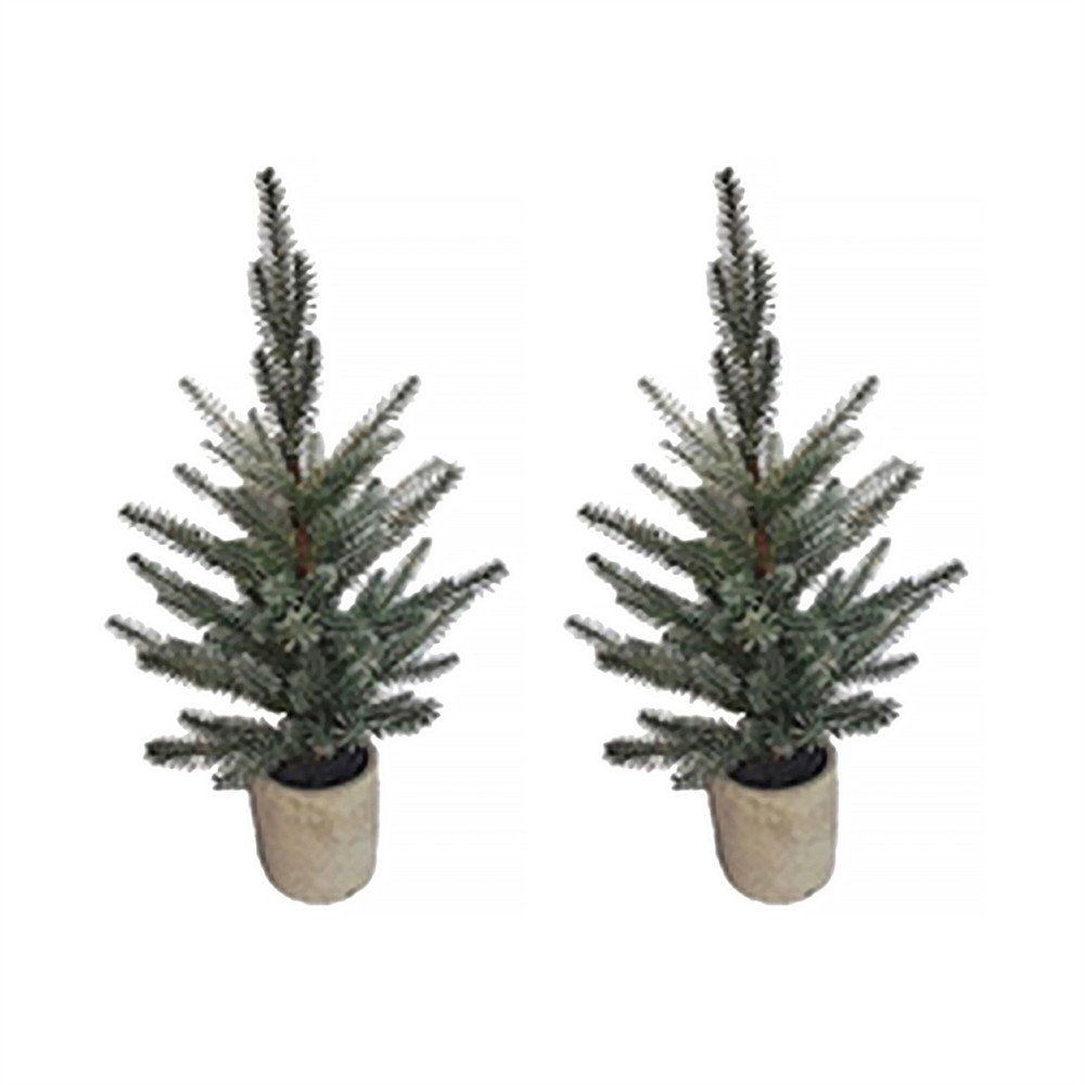 Pine Tree in Plastic Pot (Set of 2)