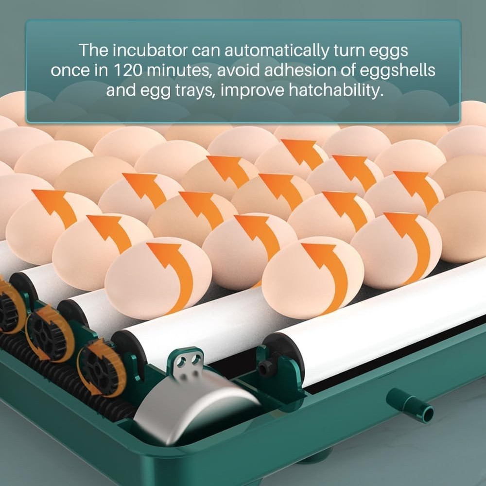 38 Egg Digital Poultry Hatcher Machine Automatic Egg Incubator