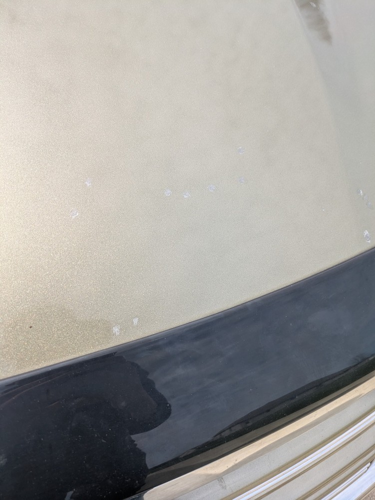 2013-2019 Ford Taurus Hood OEM