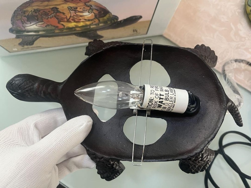 GRATEFUL DEAD Bear Turtle Lamp 2005 With box