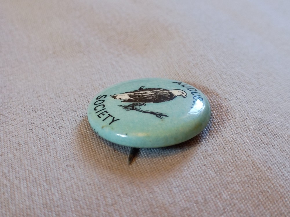 Vintage Audubon Society Bald Eagle Pinback Button.