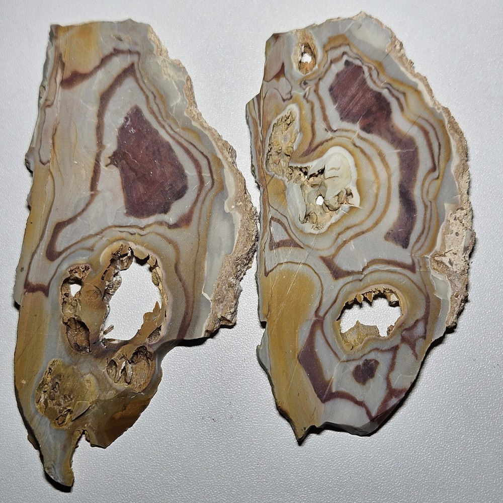 Rhyolite Two Lapidary Slabs 105 Grams