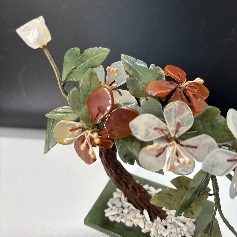 Curved Chinese Jade Tree