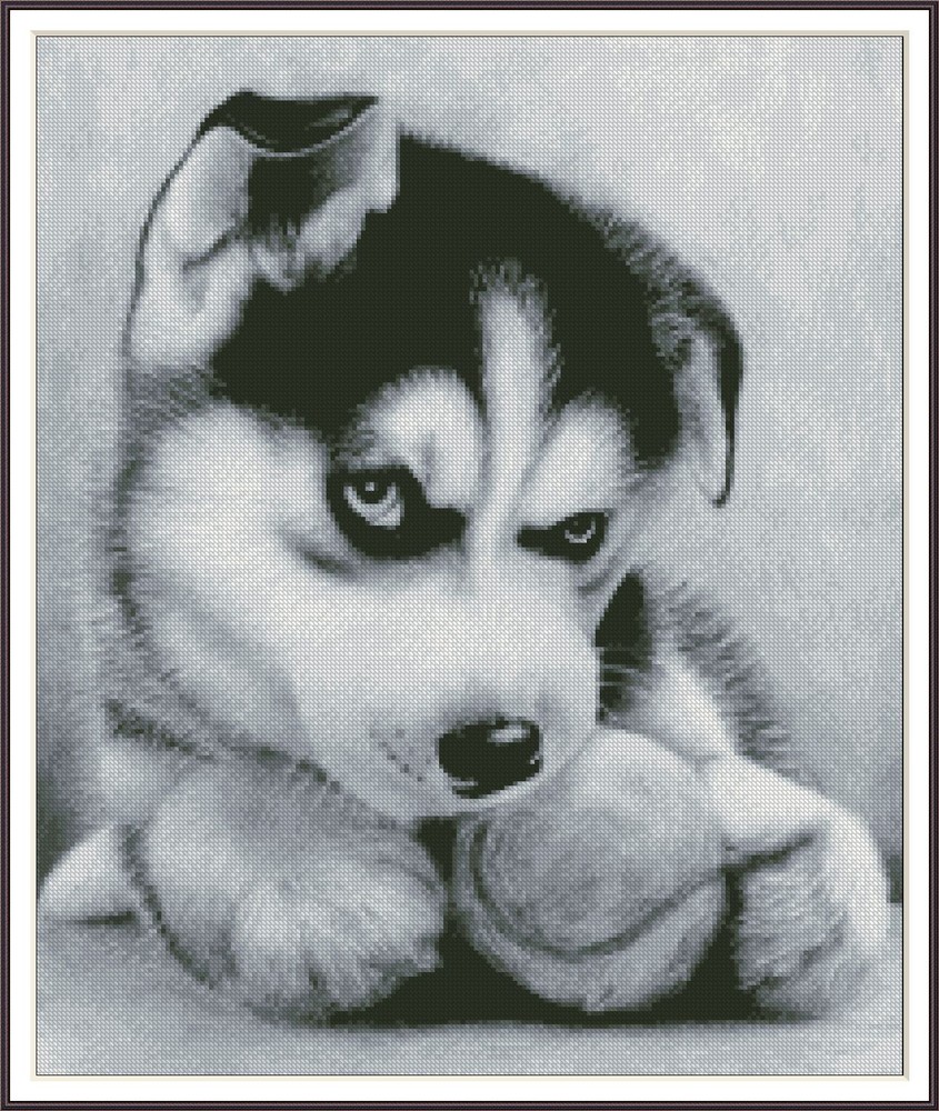 Husky Puppy 941 Chart Counted Cross Stitch Pattern DMC