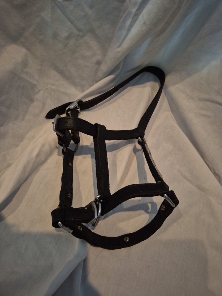 Size A Mini Western Show Halter