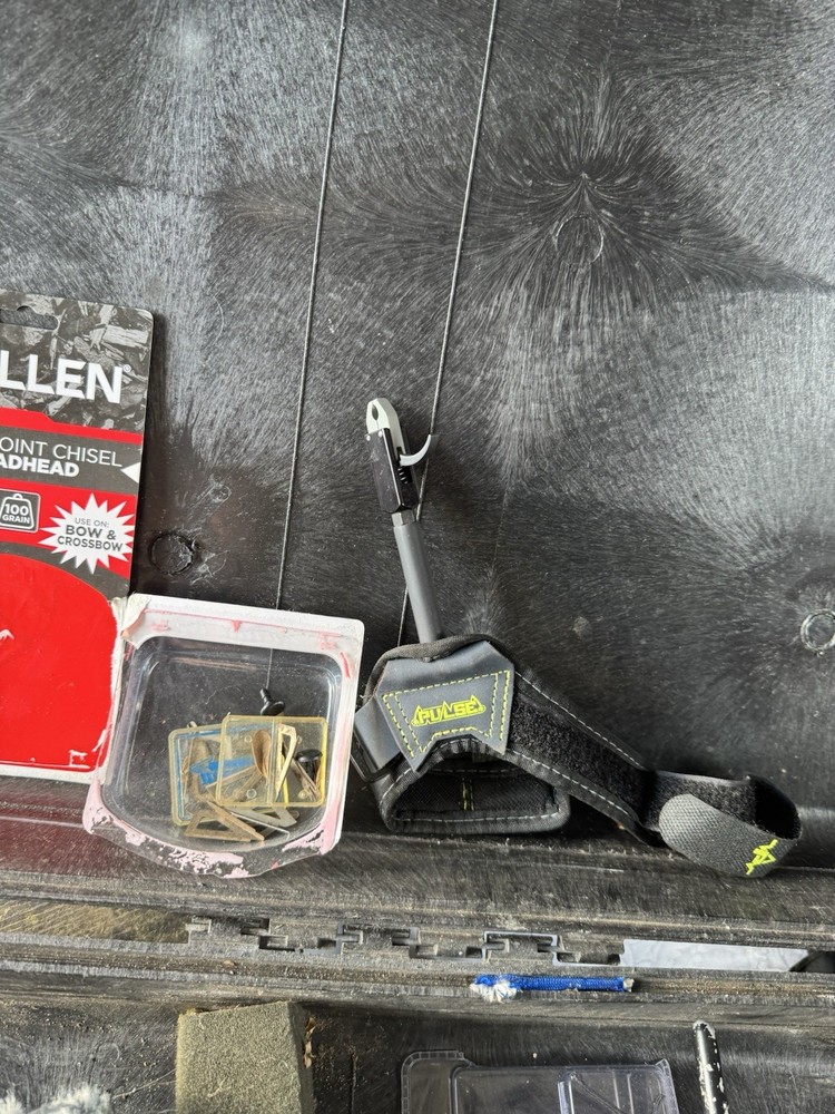 Bear Whitetail II 30"/60 # Right-Hand Compound Archery Bow