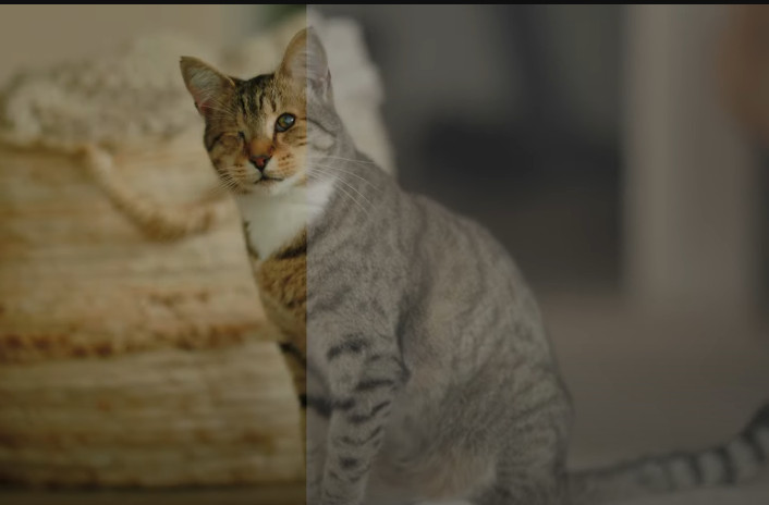 500 + Cinepack - LUT Color Correction Presets