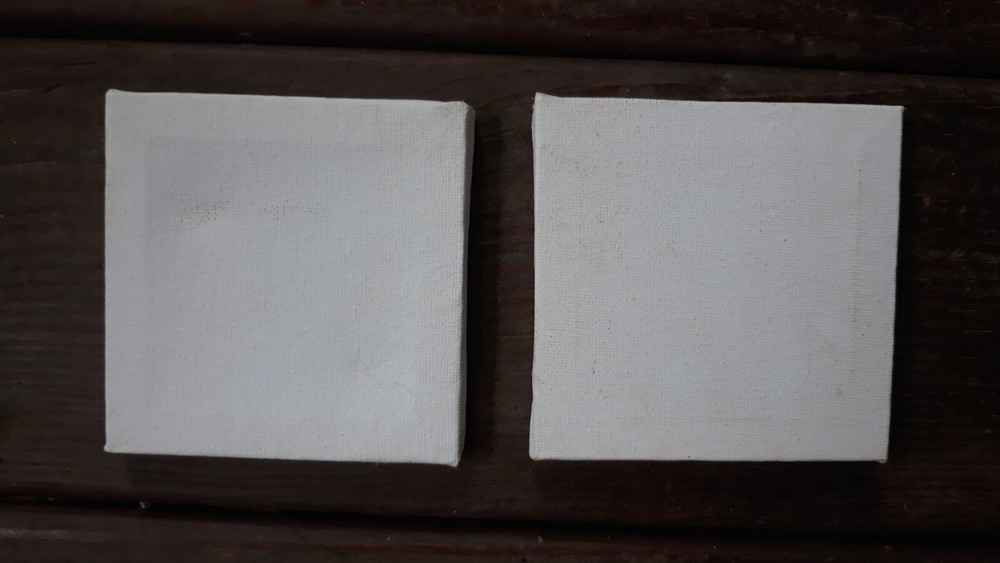 A Pair of Art Canvasses-Small