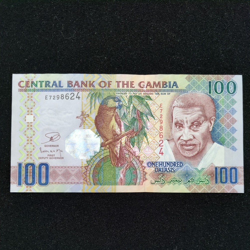 (ND/2013) - Gambia - 100 Dalasis Banknote - P.29 - Prefix E - UNC
