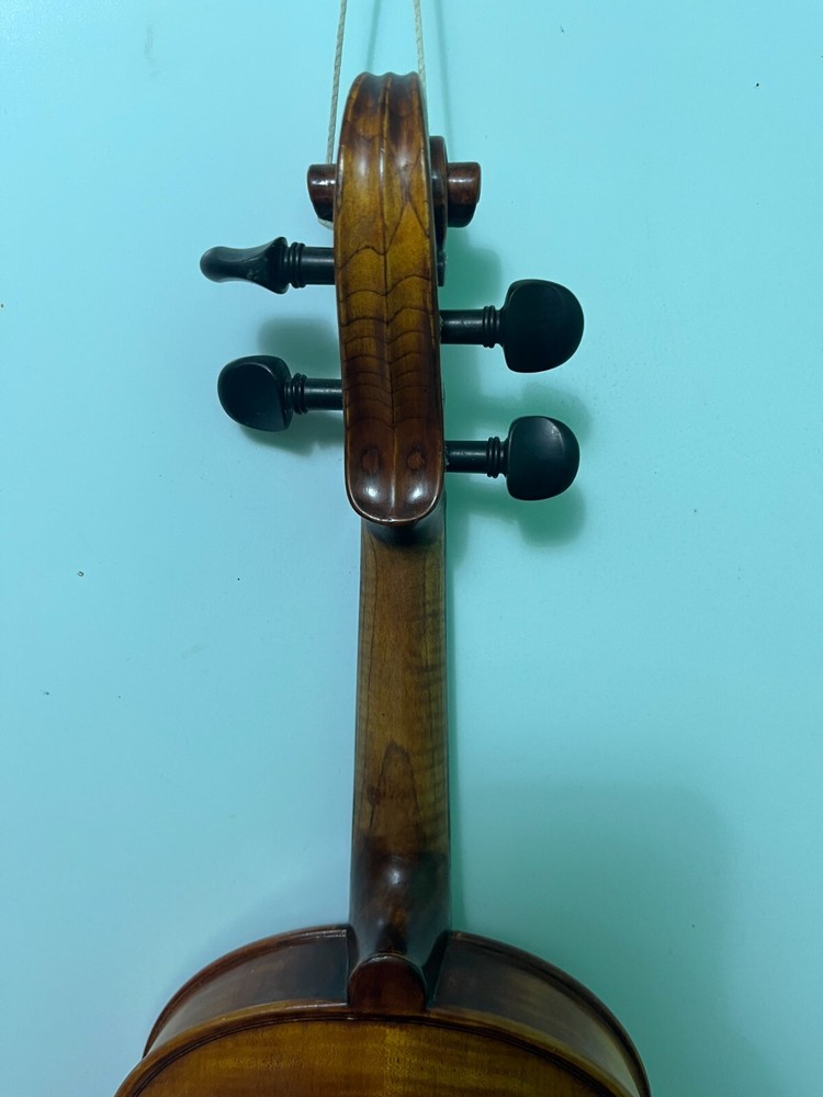 Violin 4/4 Stradivarius Model