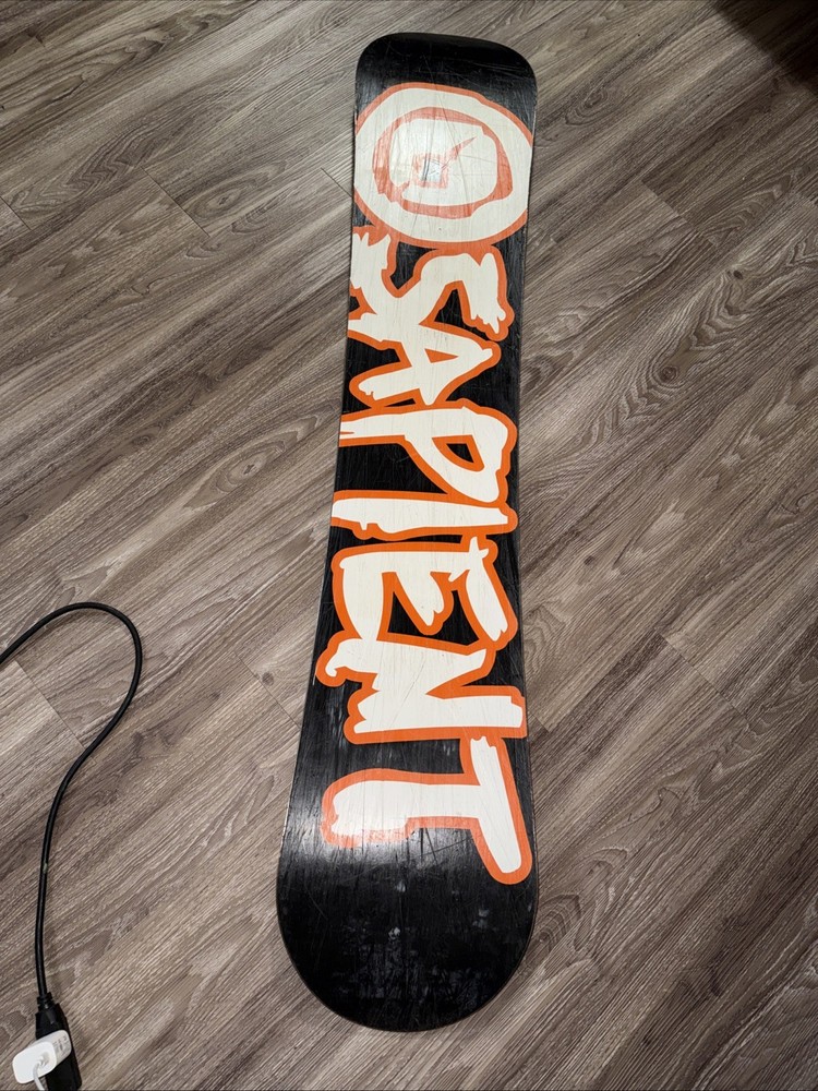 Sapient Evolution 157cm Snowboard - Made in Austria - Dinosaur/T-Rex Graphic