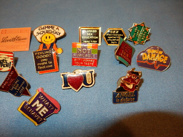 19 Brooch Pins