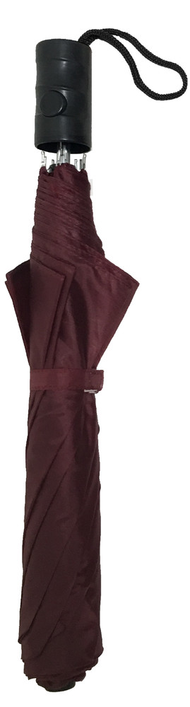Automatic umbrella, folding umbrella, compact umbrella, 2 fold umbrella