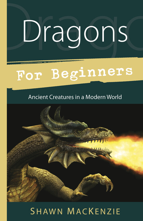 DRAGONS FOR BEGINNERS BOOK dragon magic lore history witch magick witch craft