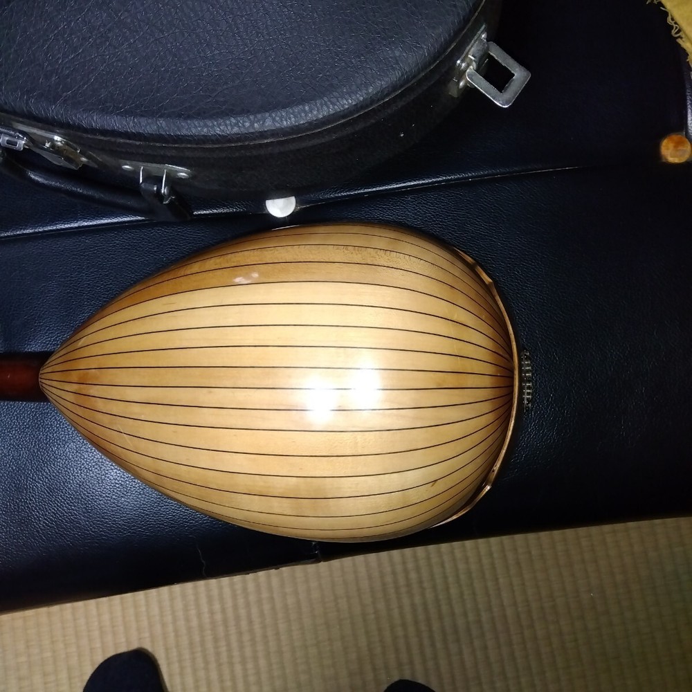 String instrument mandolin with case