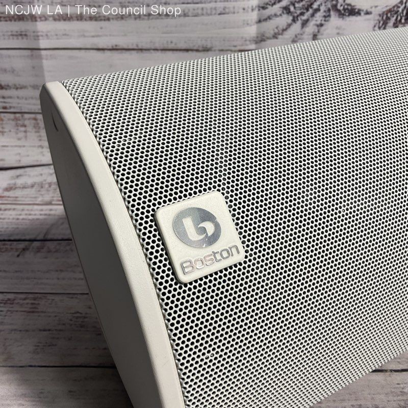 Boston Bravo 20 Wall Mountable White Speaker WORKS