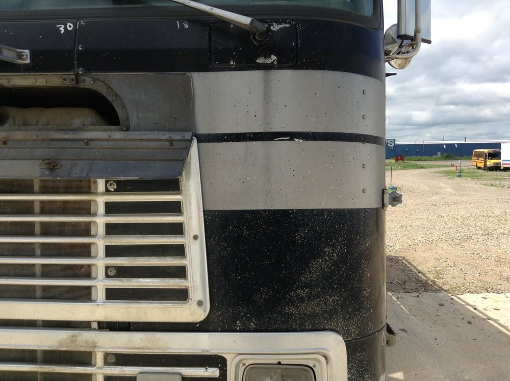 International 9670 ALUMINUM Left/Driver CAB Panel