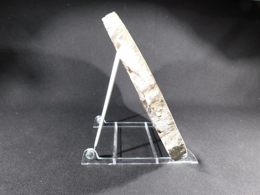 Easel Display Stand Large Size Adjustable Clear Acrylic White Back