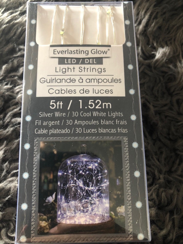Everlasting Glow Cool White LED Christmas Light String Set 30 Lights