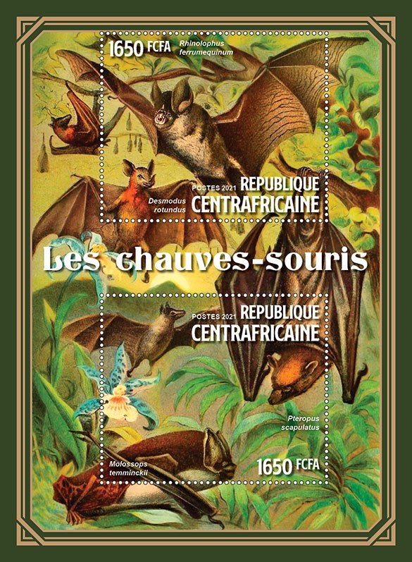 Bats